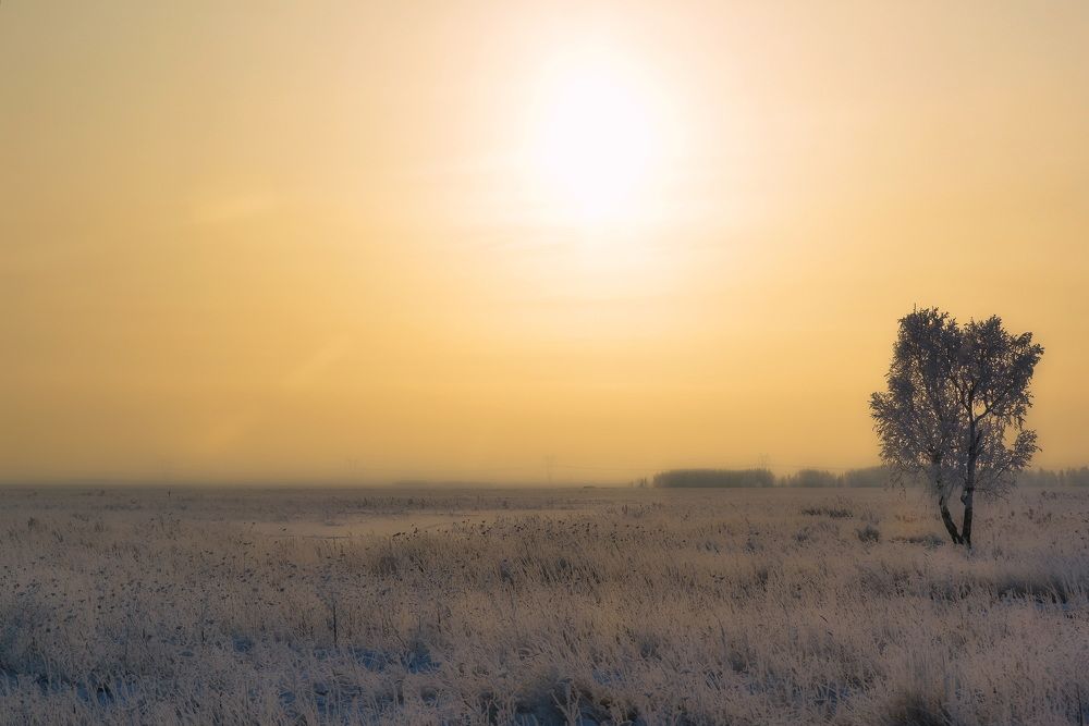 Одиночество