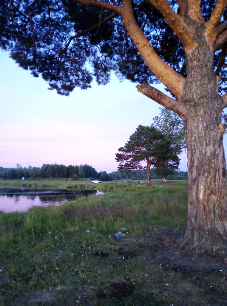 Photograph by Елена Аверьянова