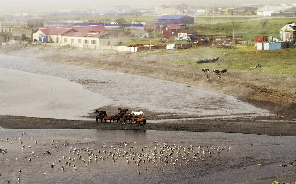 Photograph by Марина Рунова