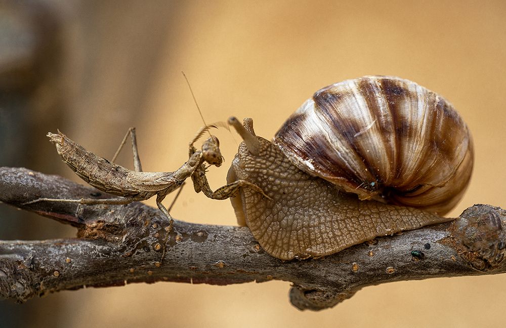 Photograph by ozgur secmen