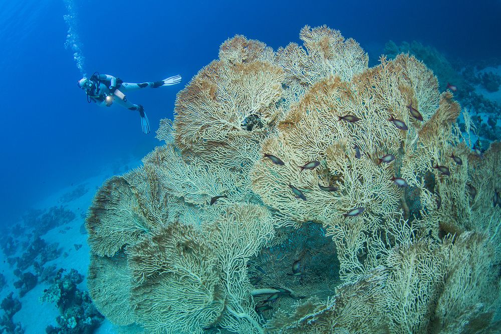 Photograph by Оксана Каменская