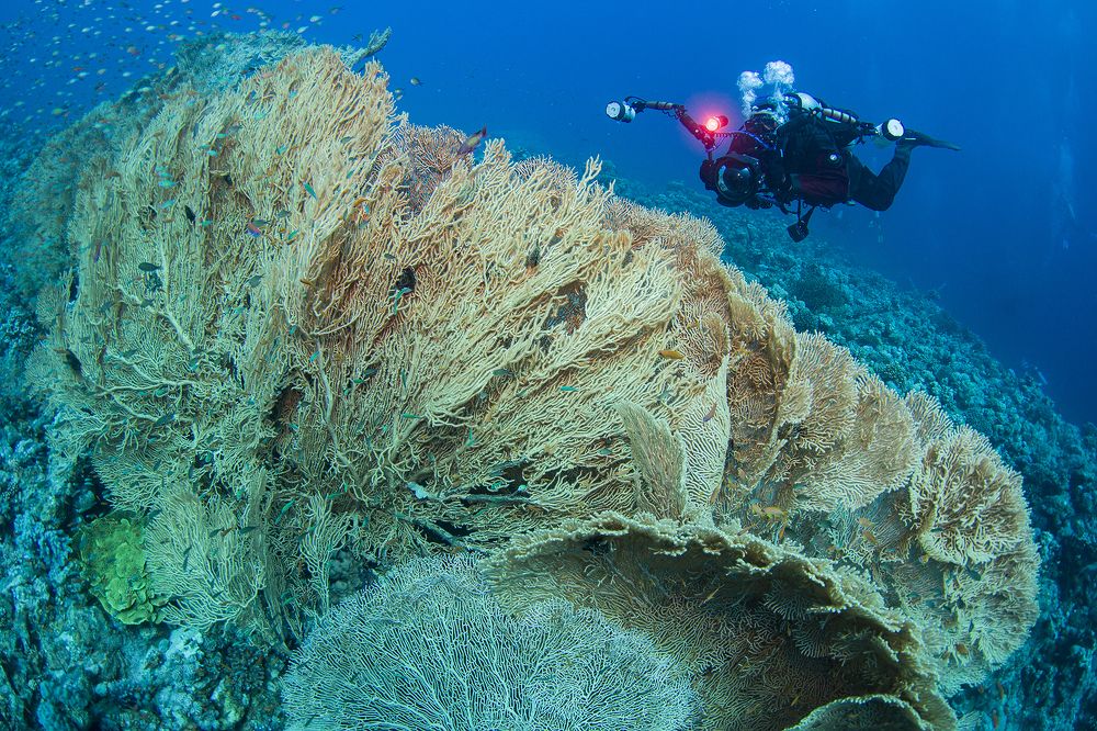 Photograph by Оксана Каменская