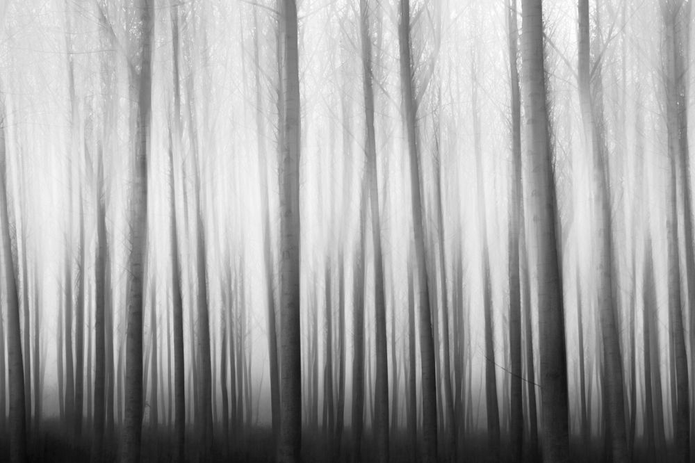 Photograph by Giuseppe Galli