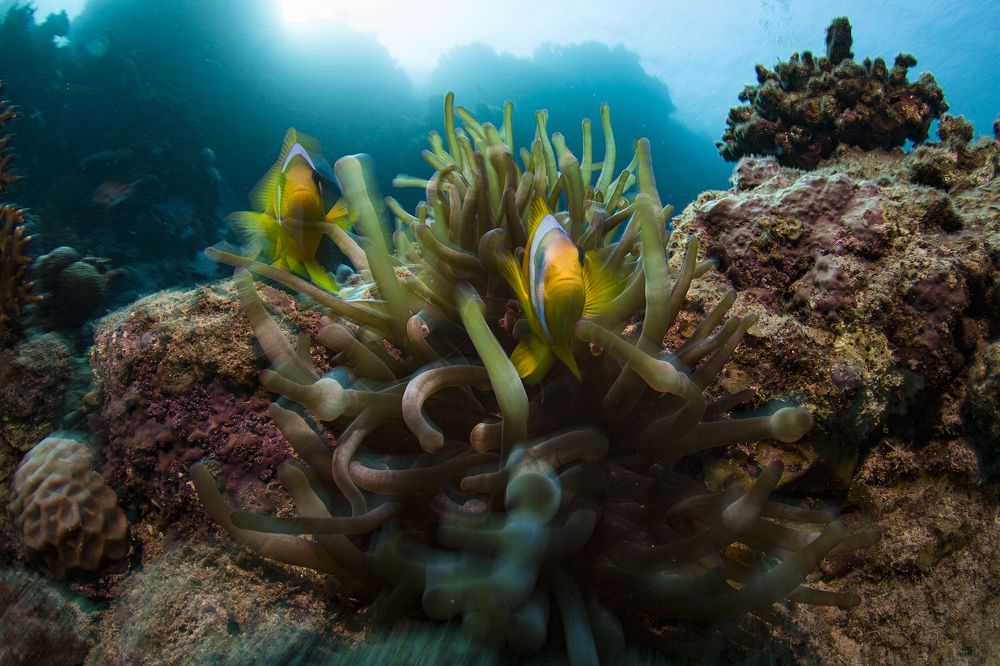 Photograph by Оксана Каменская