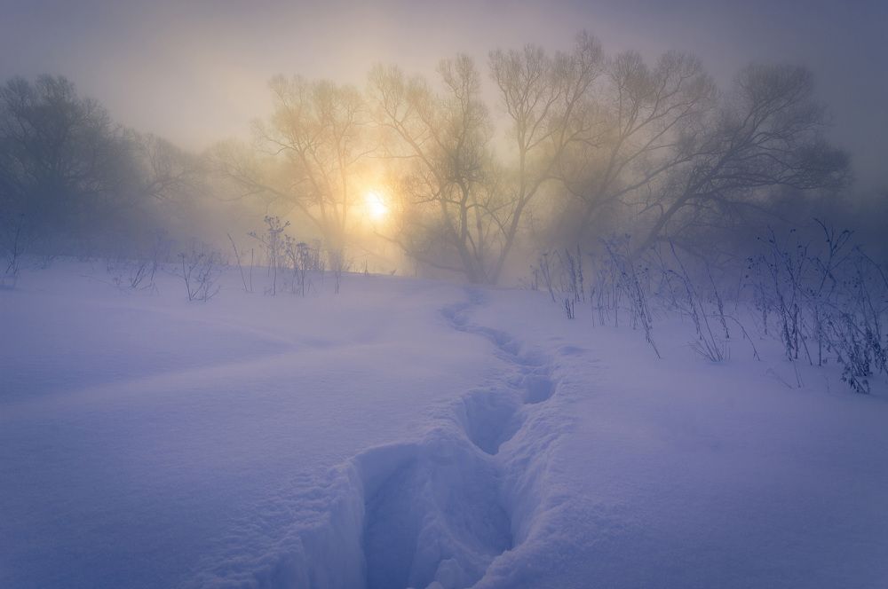 Photograph by Александр Кыров