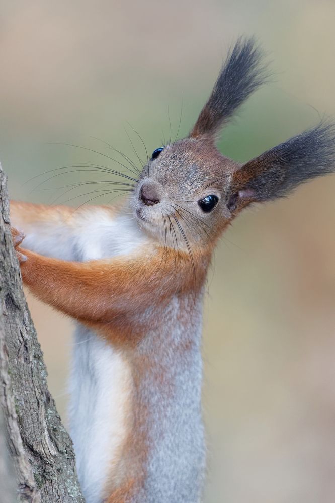 Photograph by Алексей Зенякин