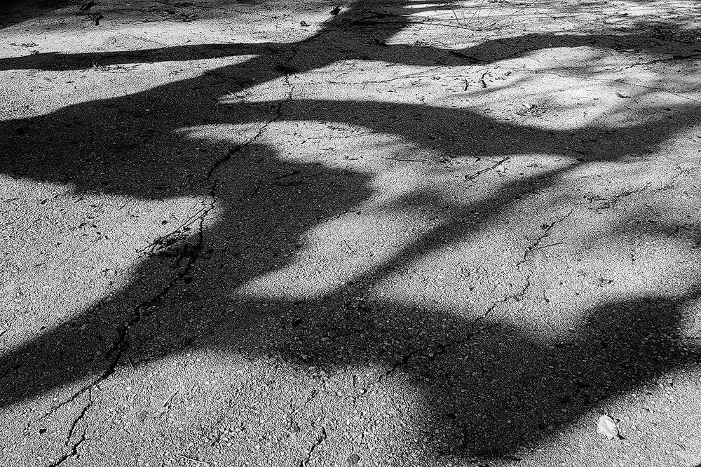 Фотография автора Bobus