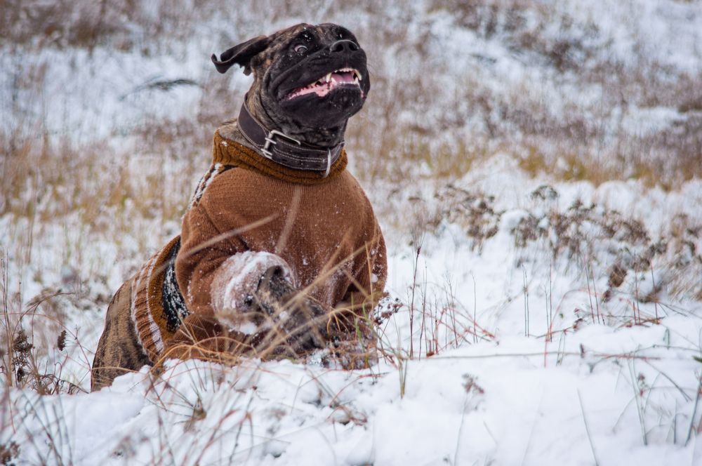 Photograph by Наталья Подмогильная