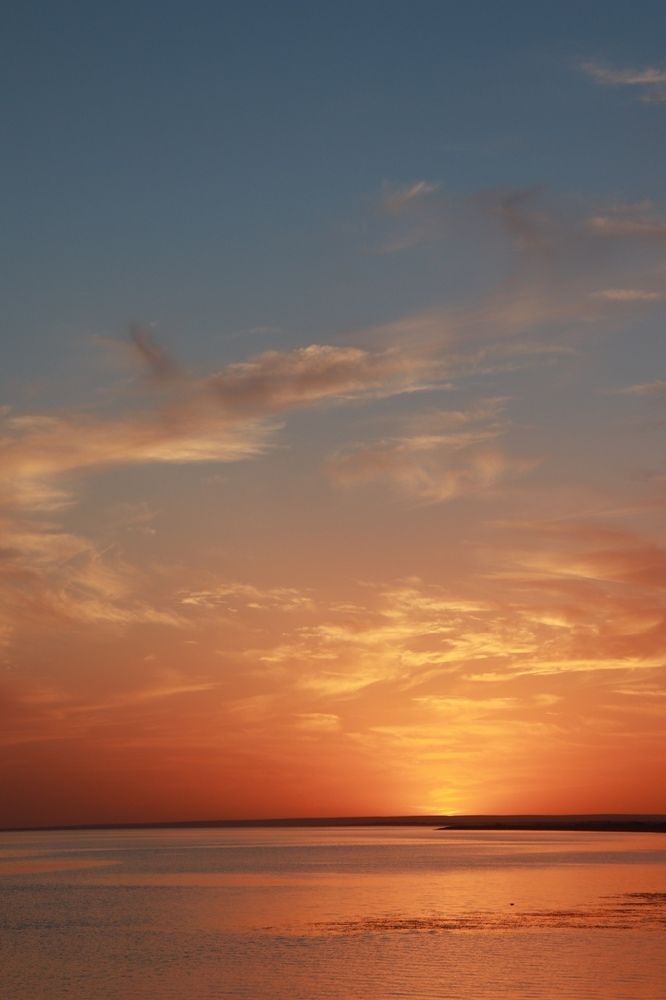 Photograph by Элина Купцова