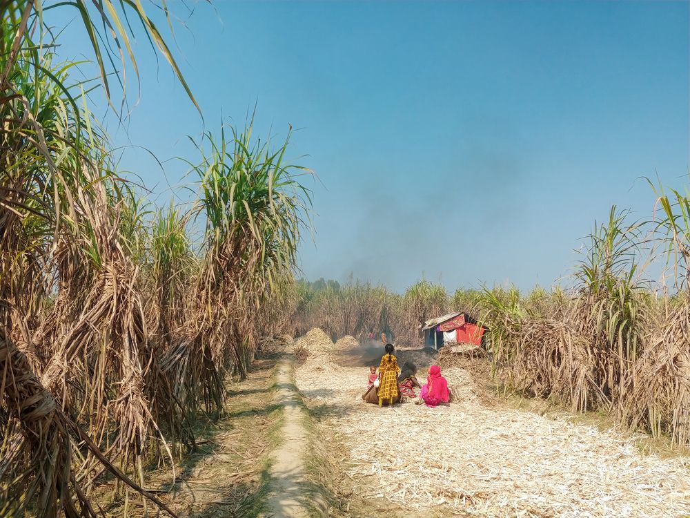 Photograph by Md Abu Sayeed Mondal