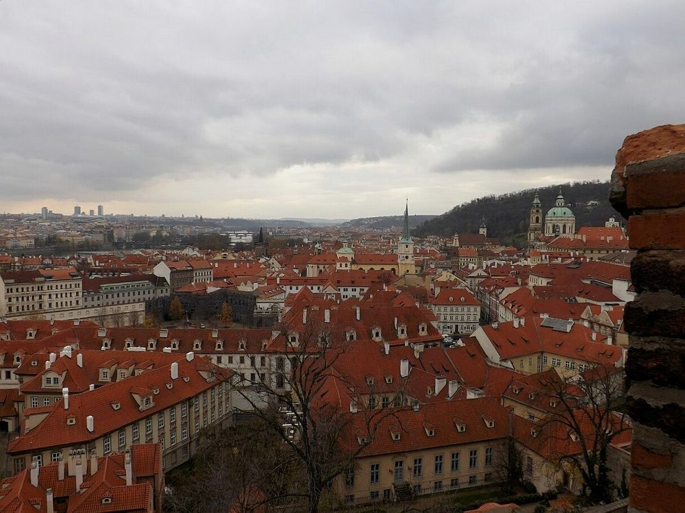 Photograph by Диана Потапова