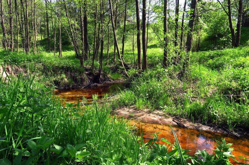 Весна у подножия холмов