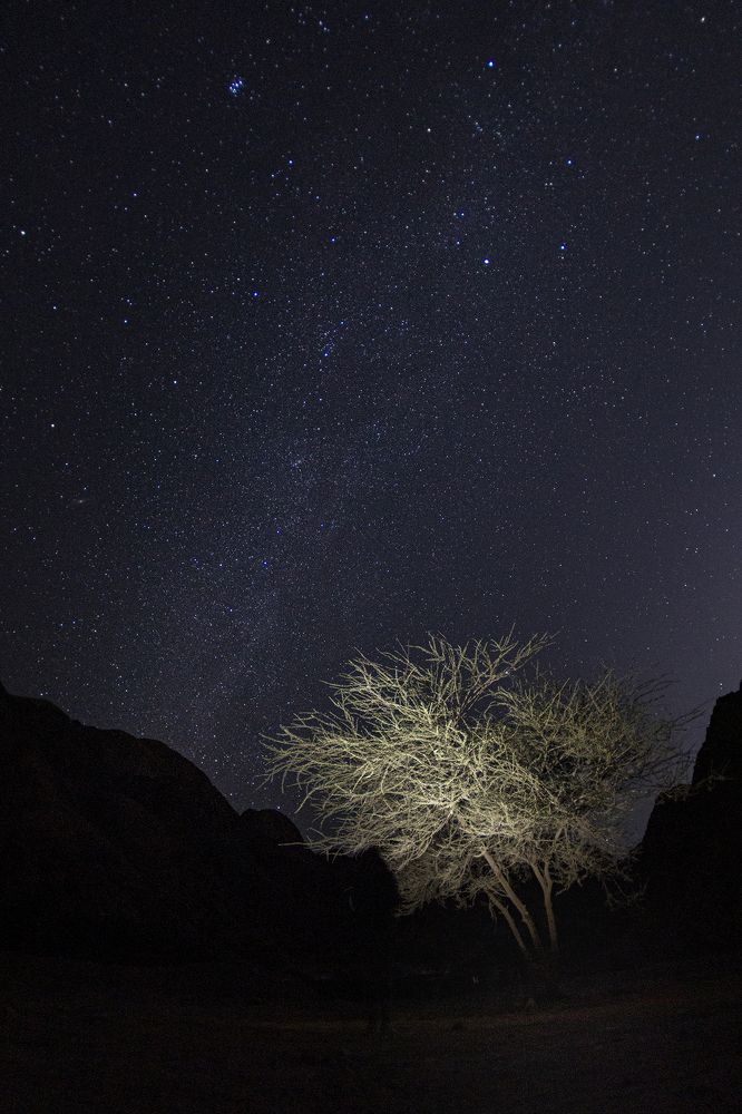 Photograph by Оксана Каменская