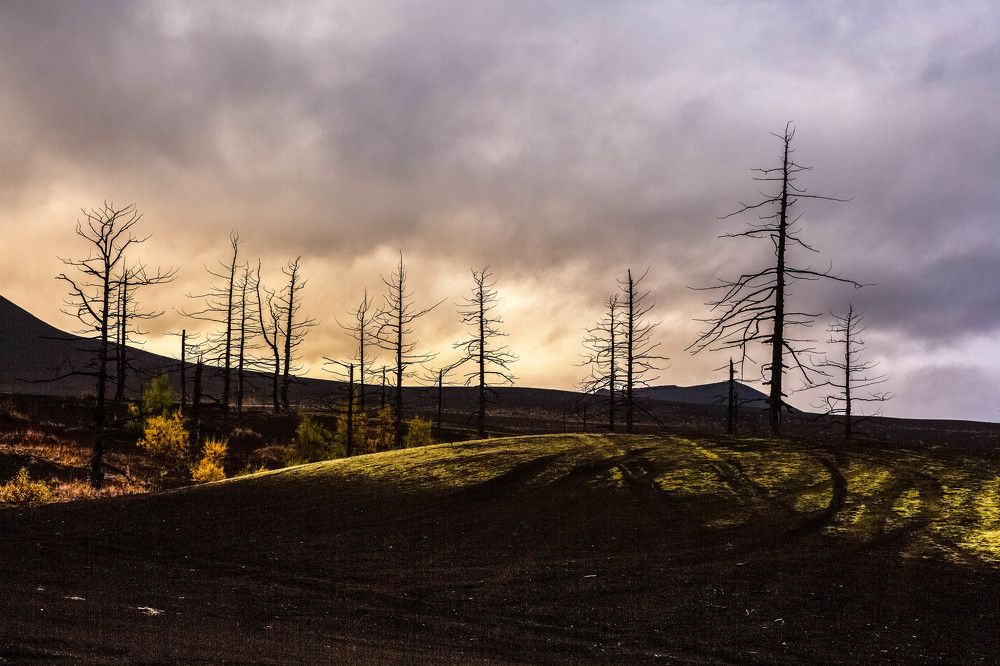 Photograph by Alfia Safuanova