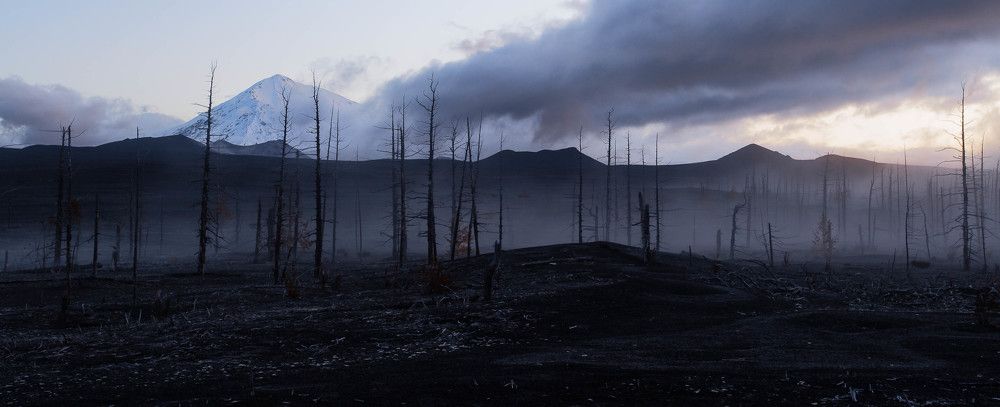 Photograph by Alfia Safuanova