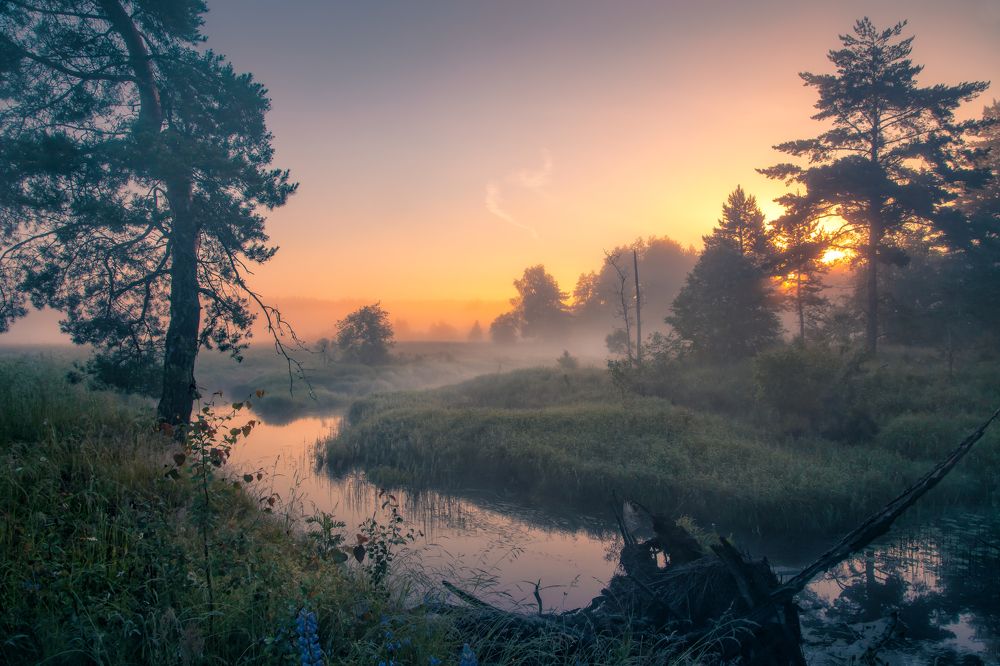 Photograph by (Roman) Heger