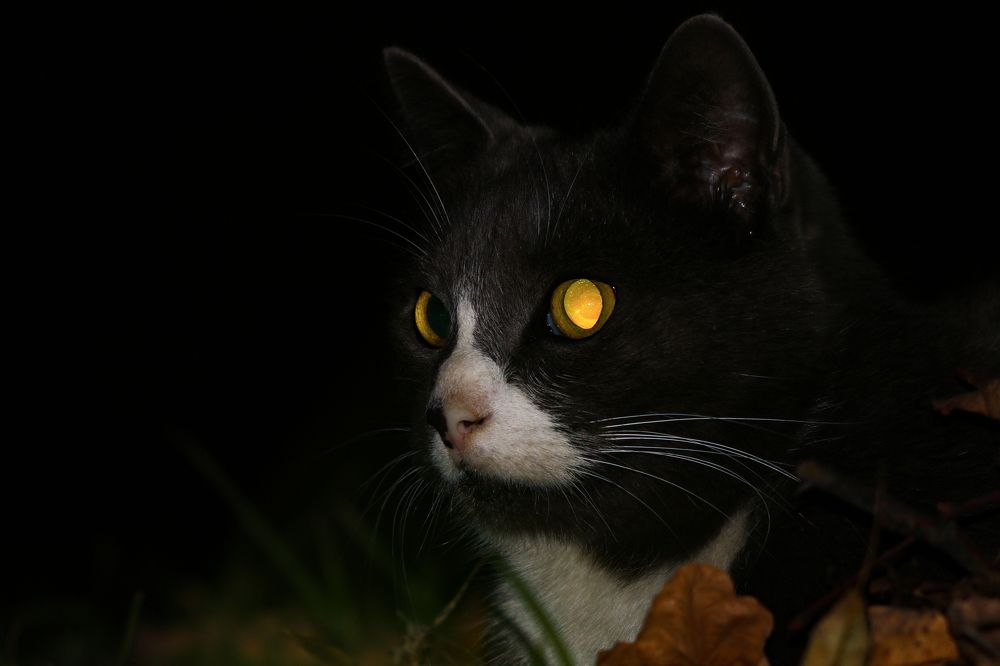 Photograph by Евгений Пакулов