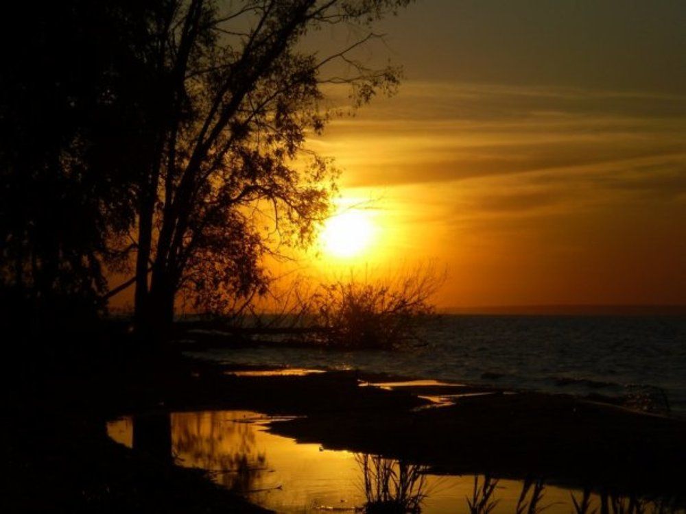 Photograph by Диана Потапова