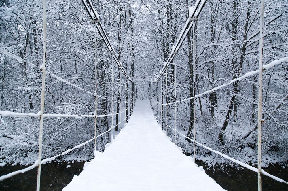 Photograph by Natalya Chumak