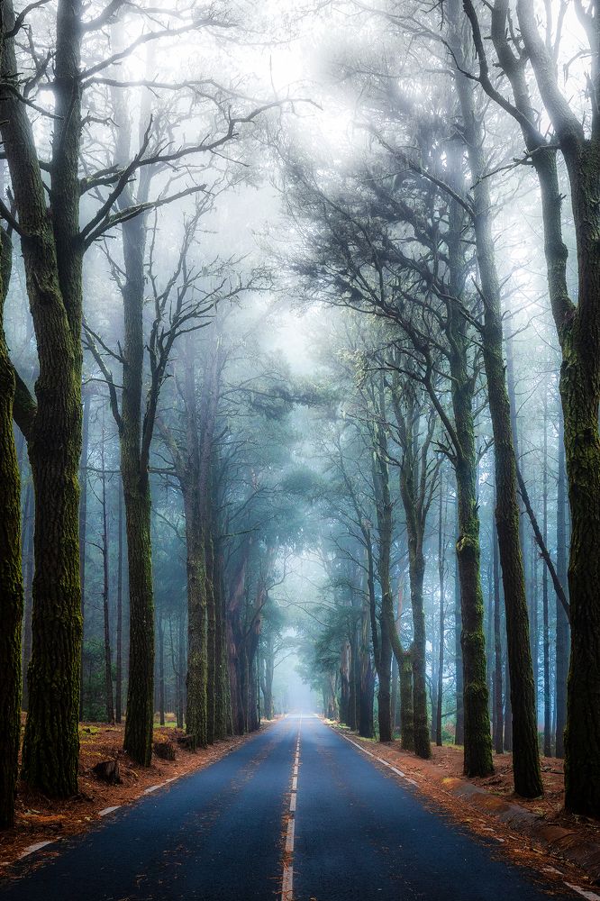 Photograph by Сергей Косов