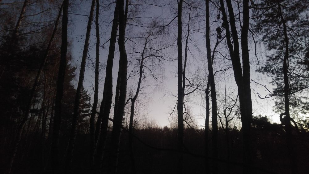 Photo #5799996