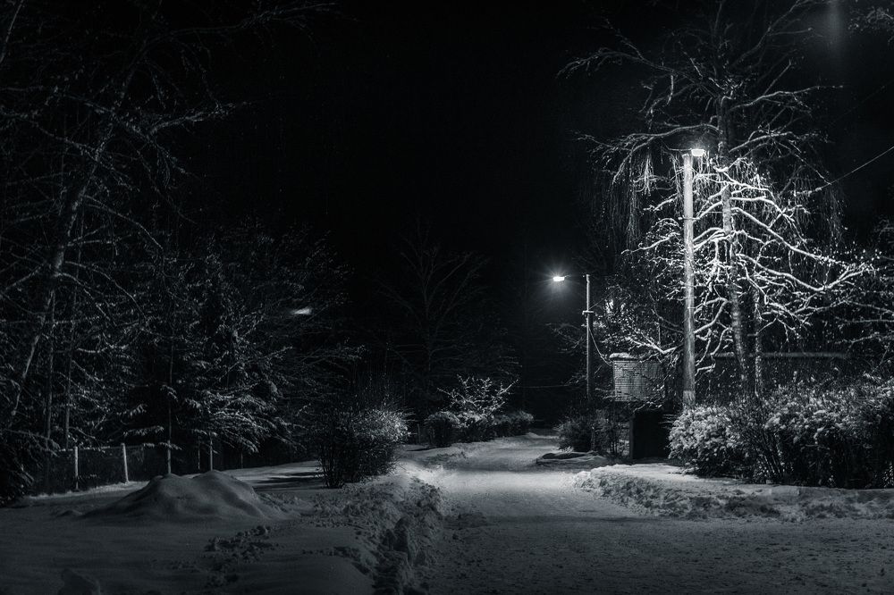 Photograph by Мария Чёрная