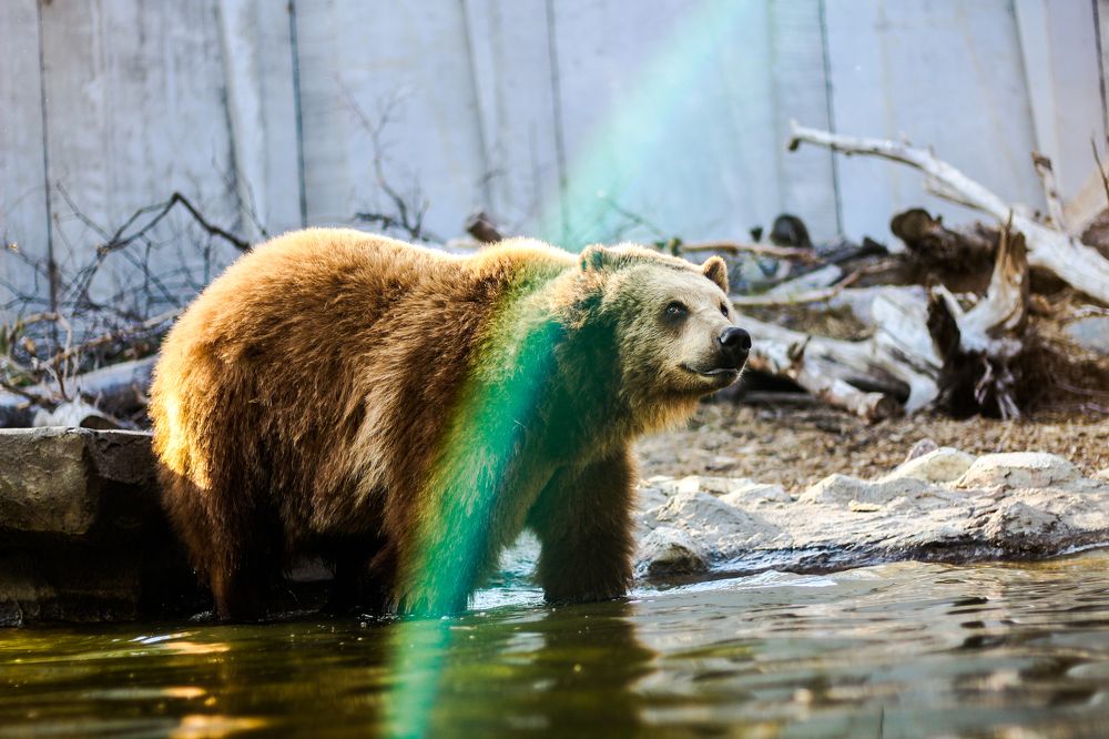 Photograph by Александр Варченко