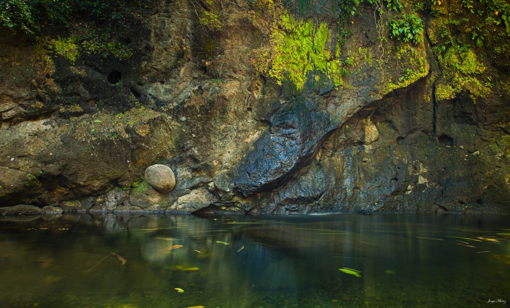 Photograph by Jorge Muñoz