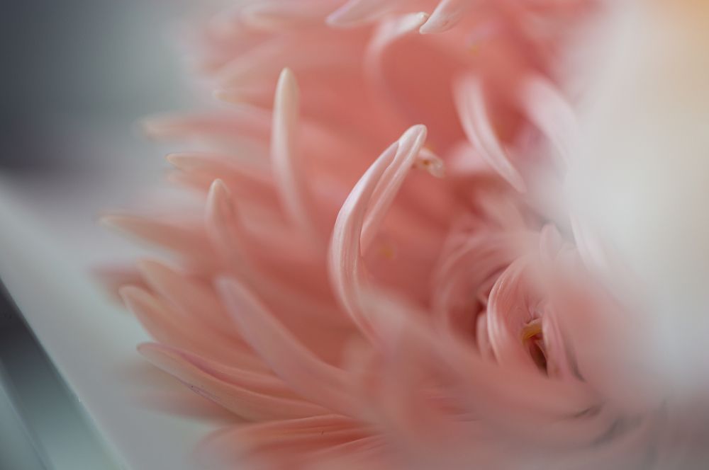 Photograph by Ирина Команова