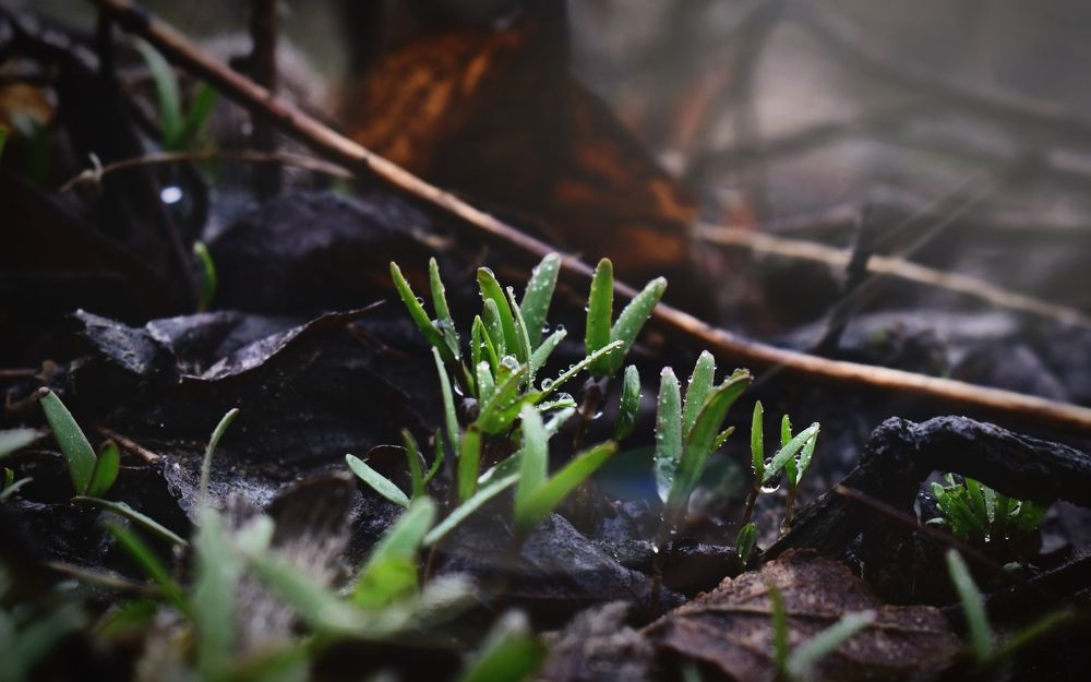 Апрельская