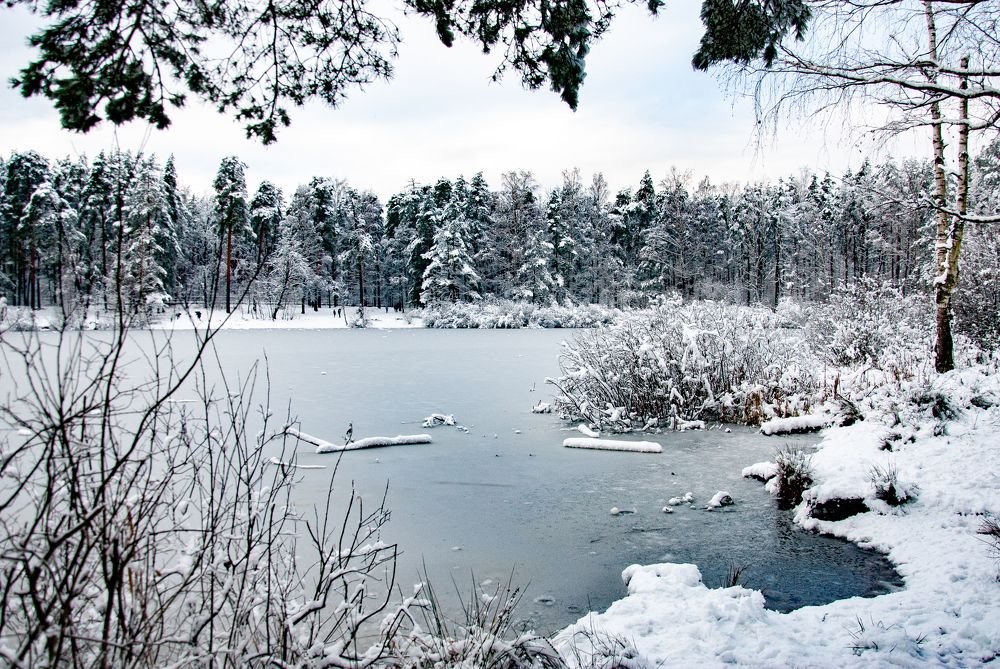 Photograph by Вадим Шадрунов