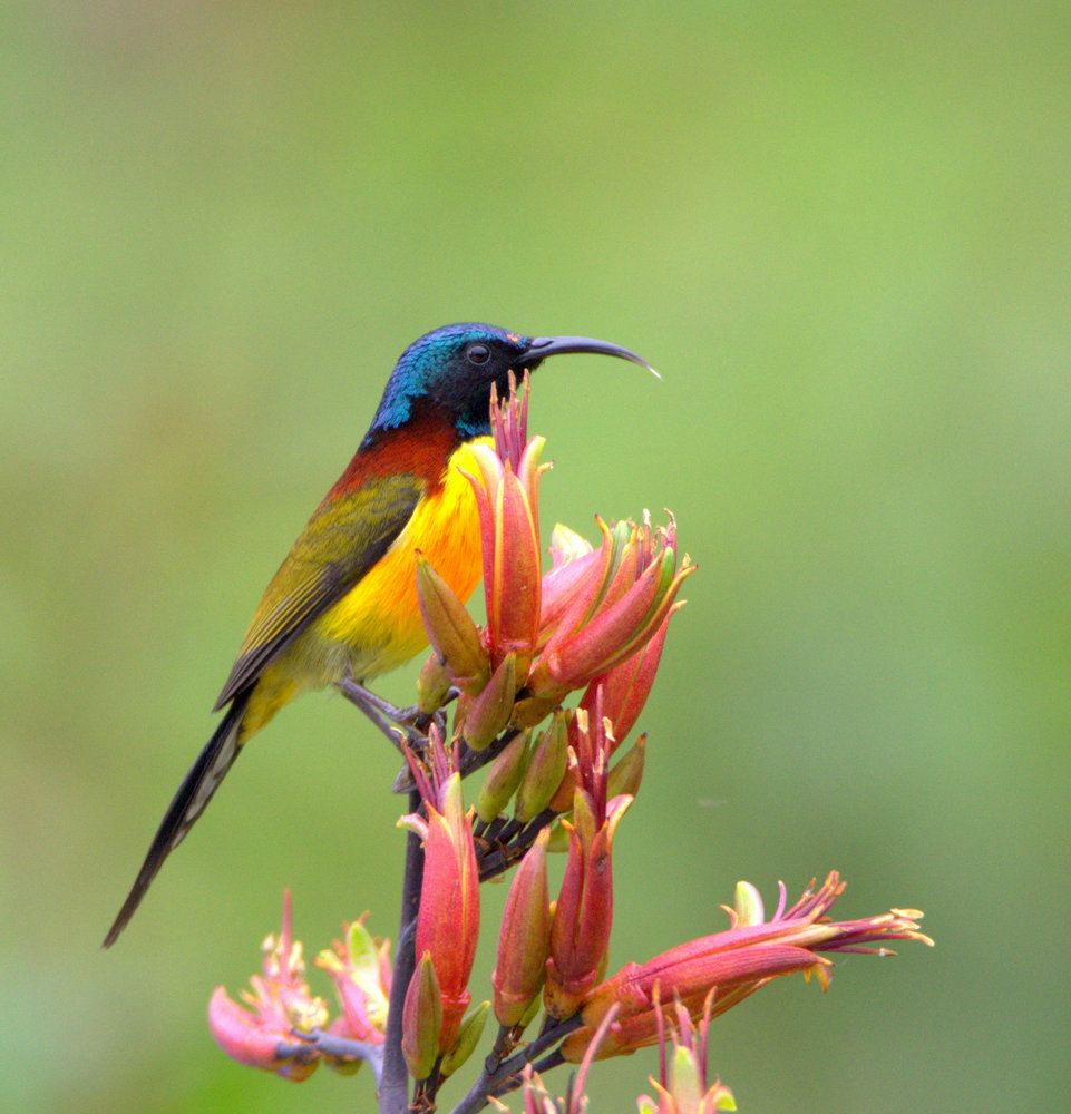 Photograph by Kushal Sharma