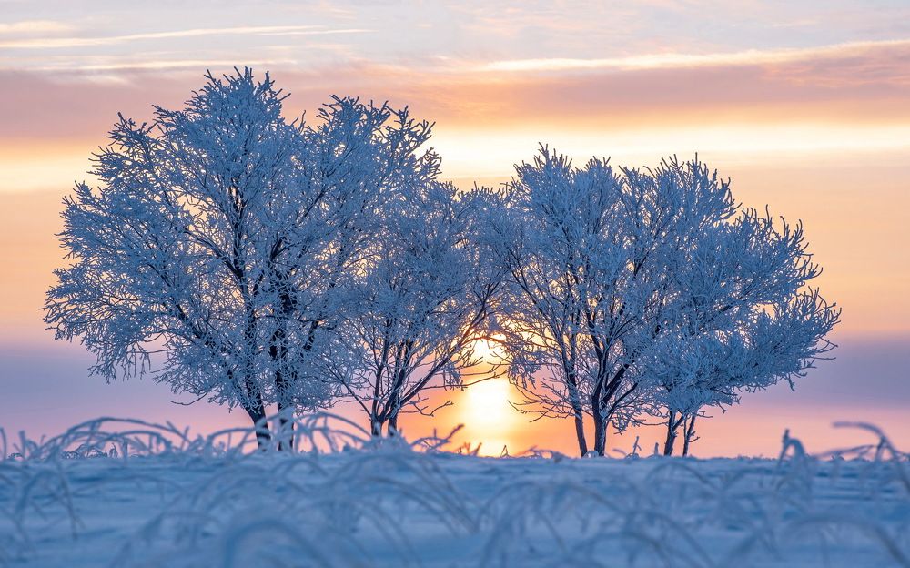 Photograph by Евгений Дроботенко