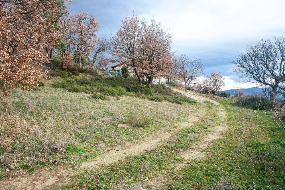 Фотография автора Yaman Koyutürk