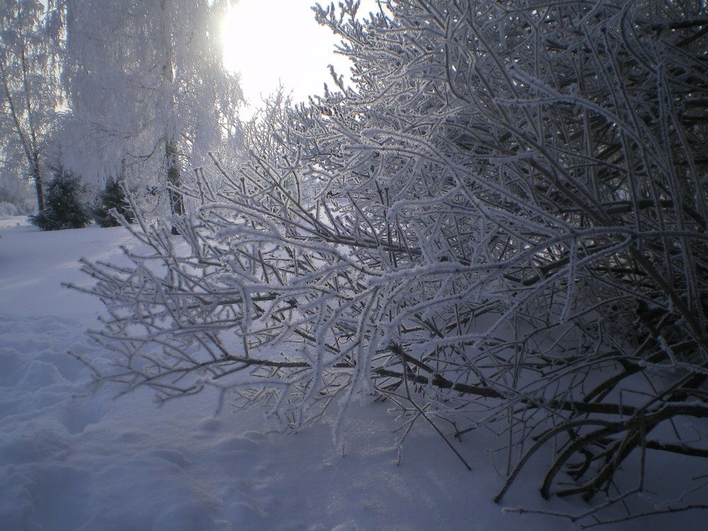 Photo #5800280