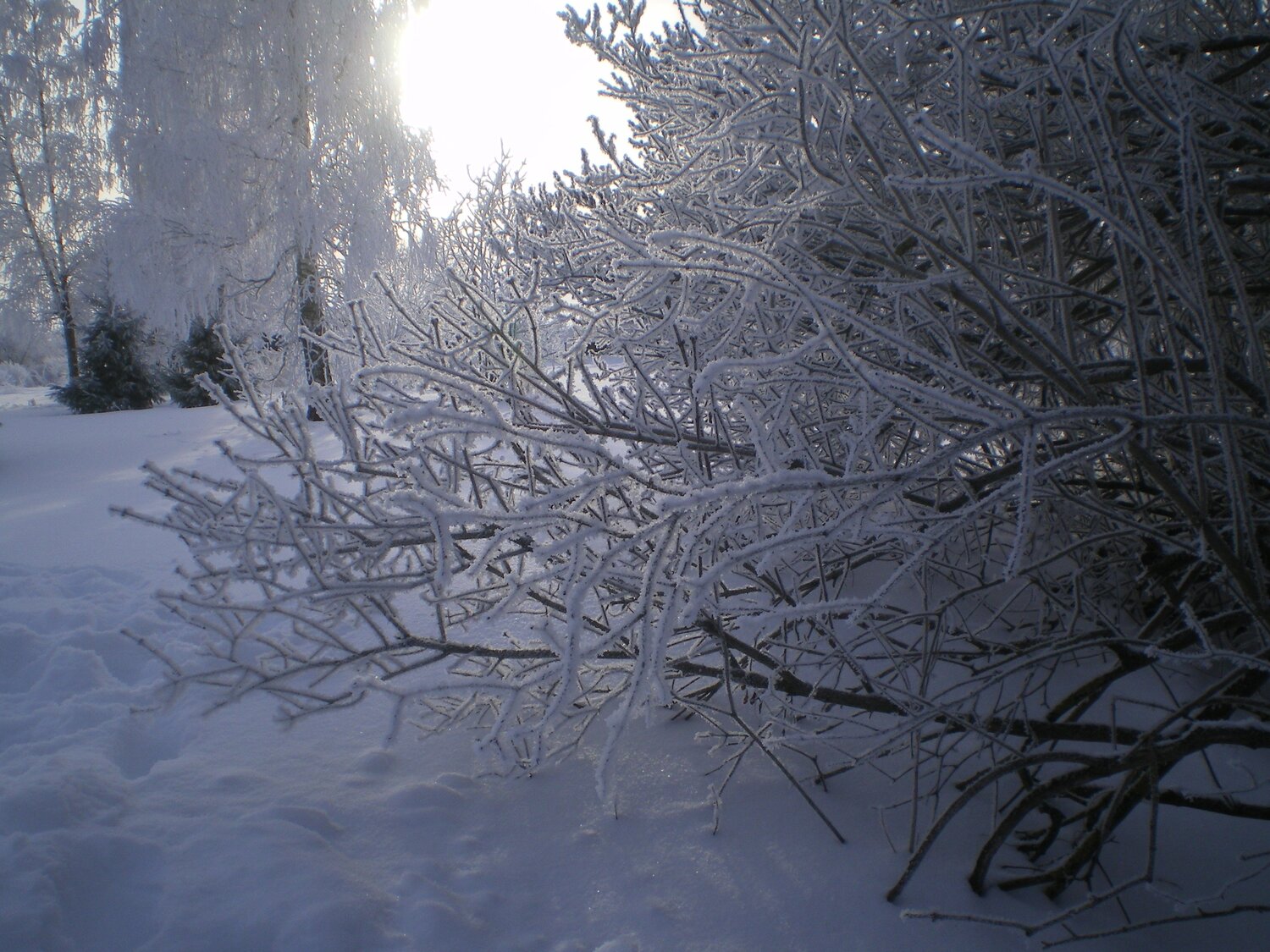 Photo #5800280