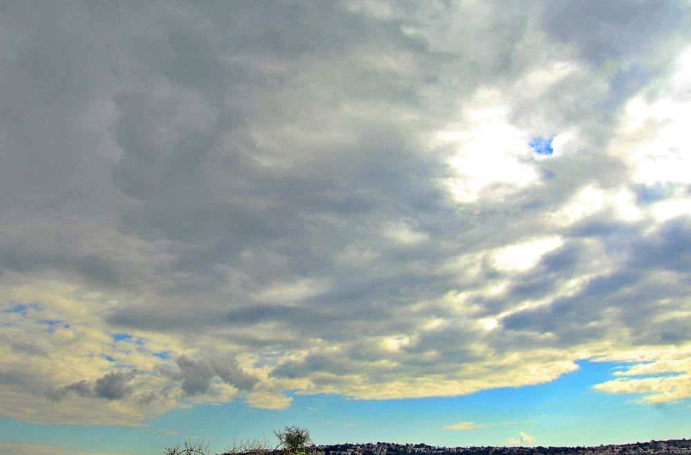 Photograph by Debbie Strauss