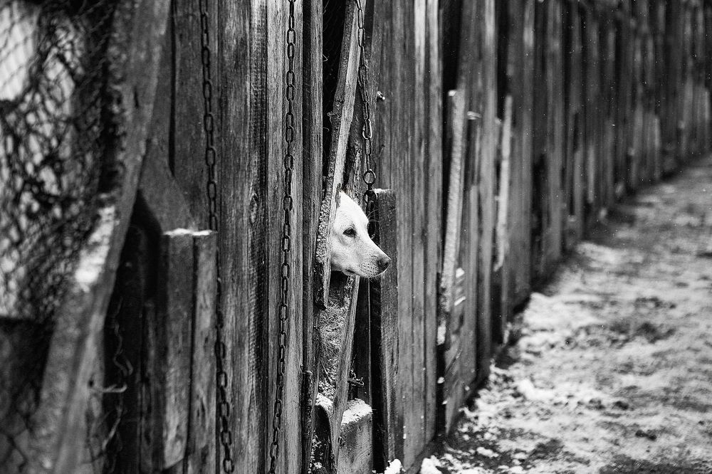 Photograph by Anastasia