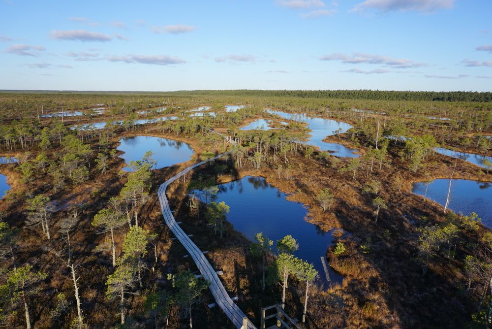 Kemeri National park.