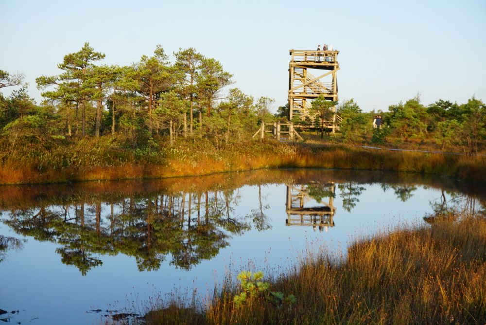 Kemeri National park