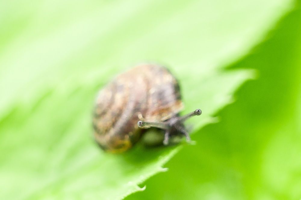 Photograph by Alexander Slizh