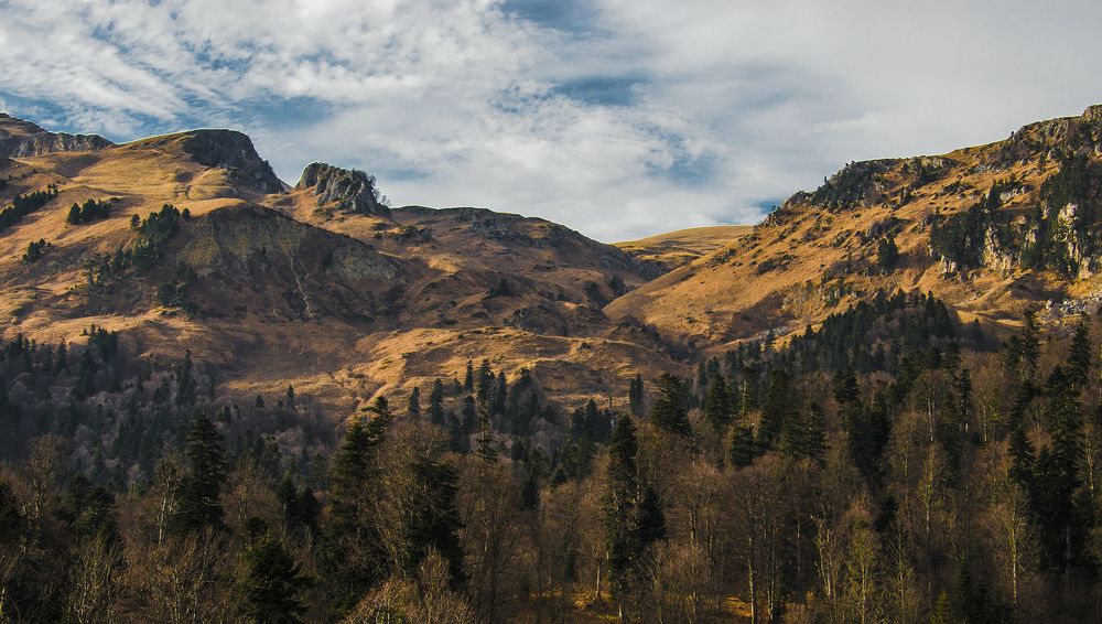 Photograph by Петр Шевелев