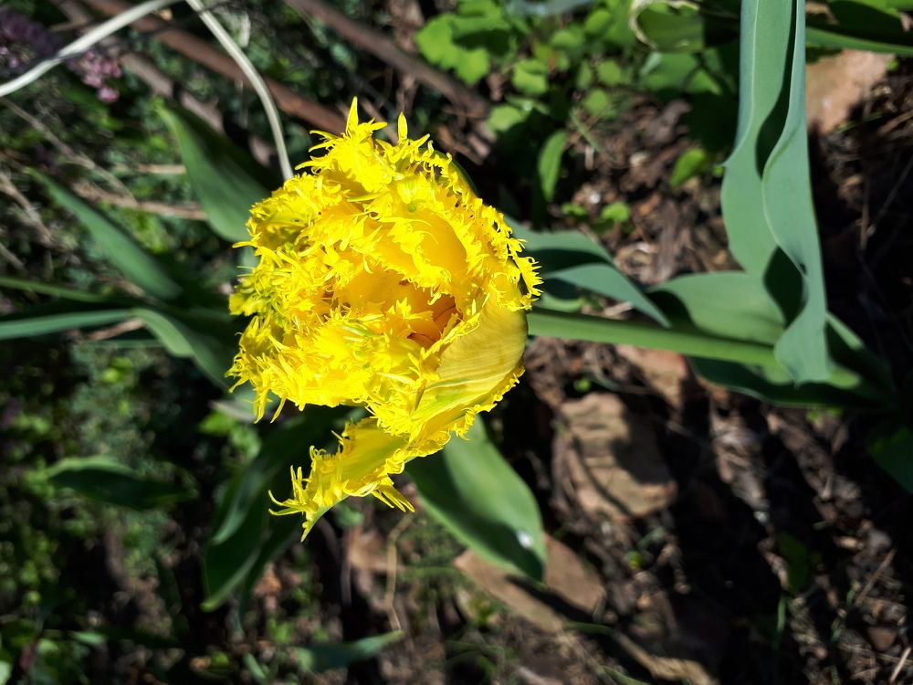 Photograph by Лала Екимчева