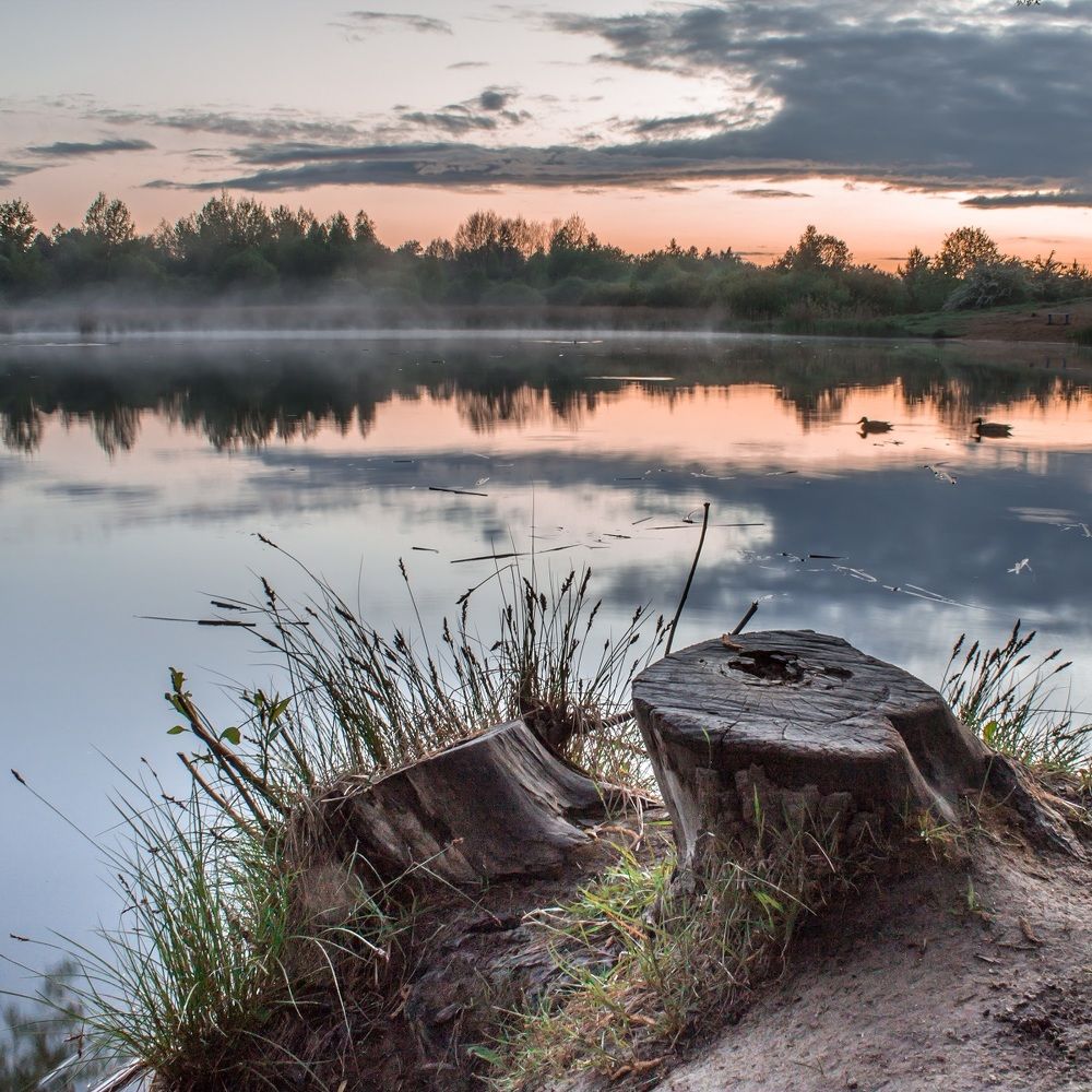 Photograph by Alexander Slizh