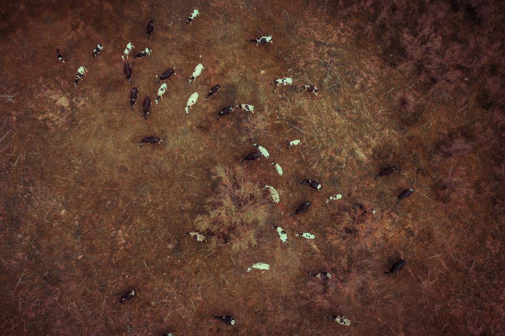 Фотография автора Alexis Kapsomenos