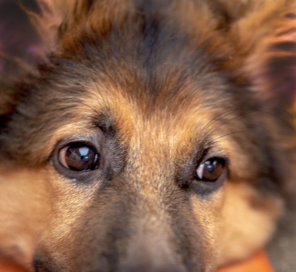 Photograph by Konstantin Vasilets