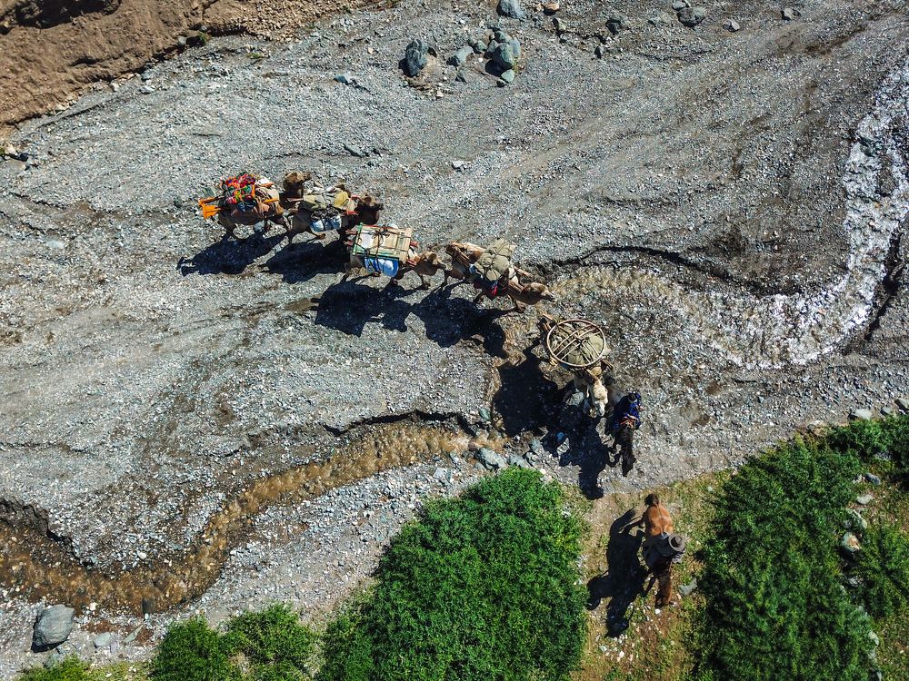 Everyday life of Mongolian nomads