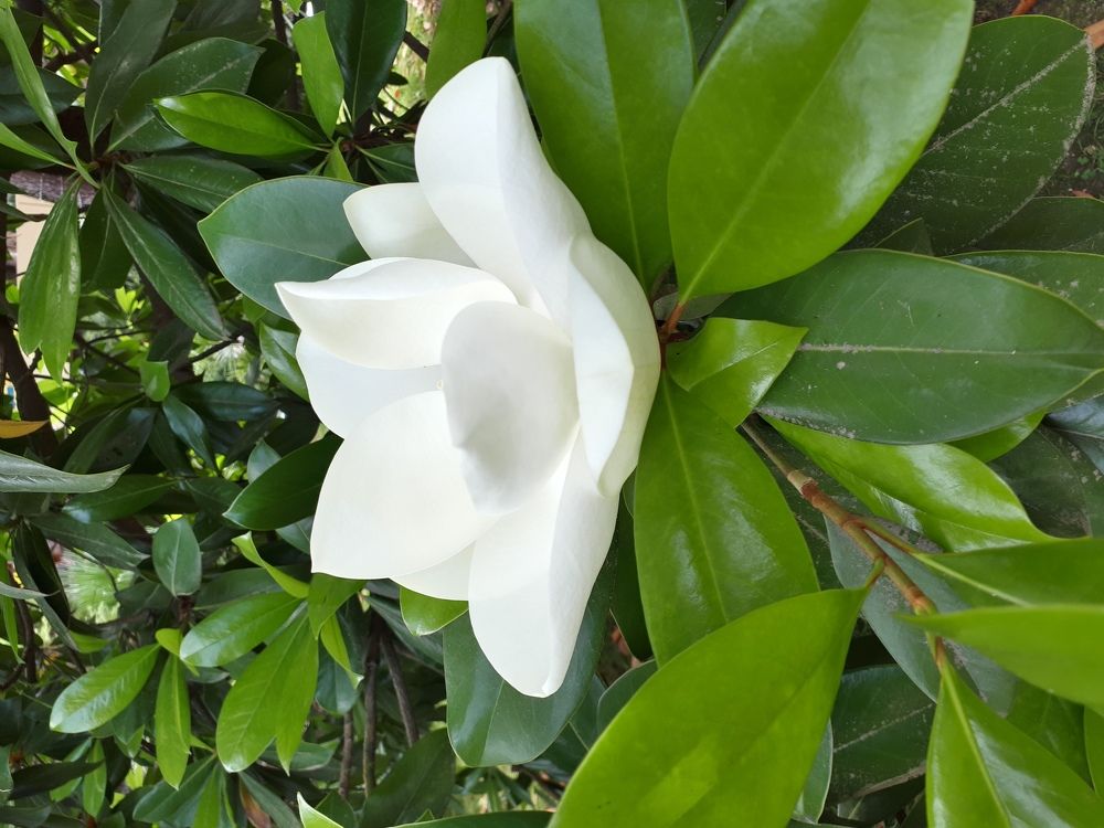 Photograph by Лала Екимчева