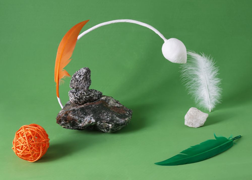 Фотография автора Елена Полякова