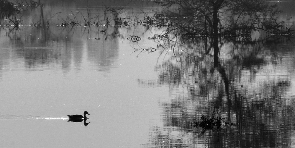 Photograph by Antphine Greemon